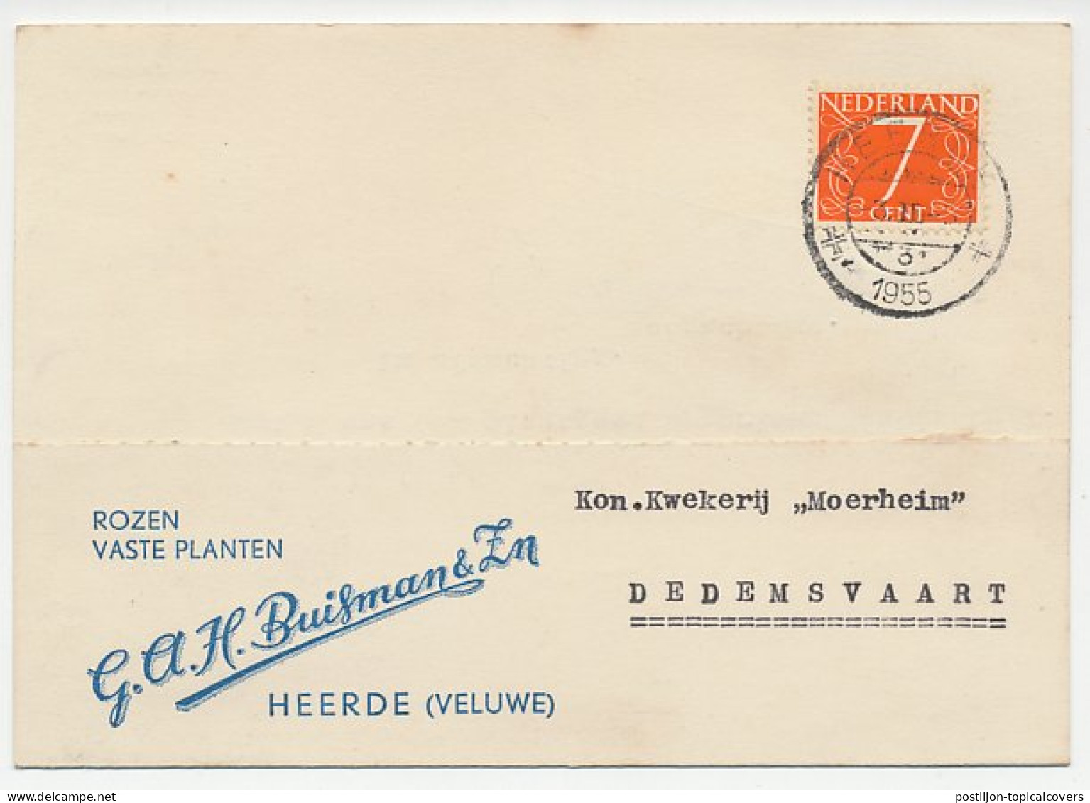 Firma Briefkaart Heerde 1955 - Rozen - Ohne Zuordnung