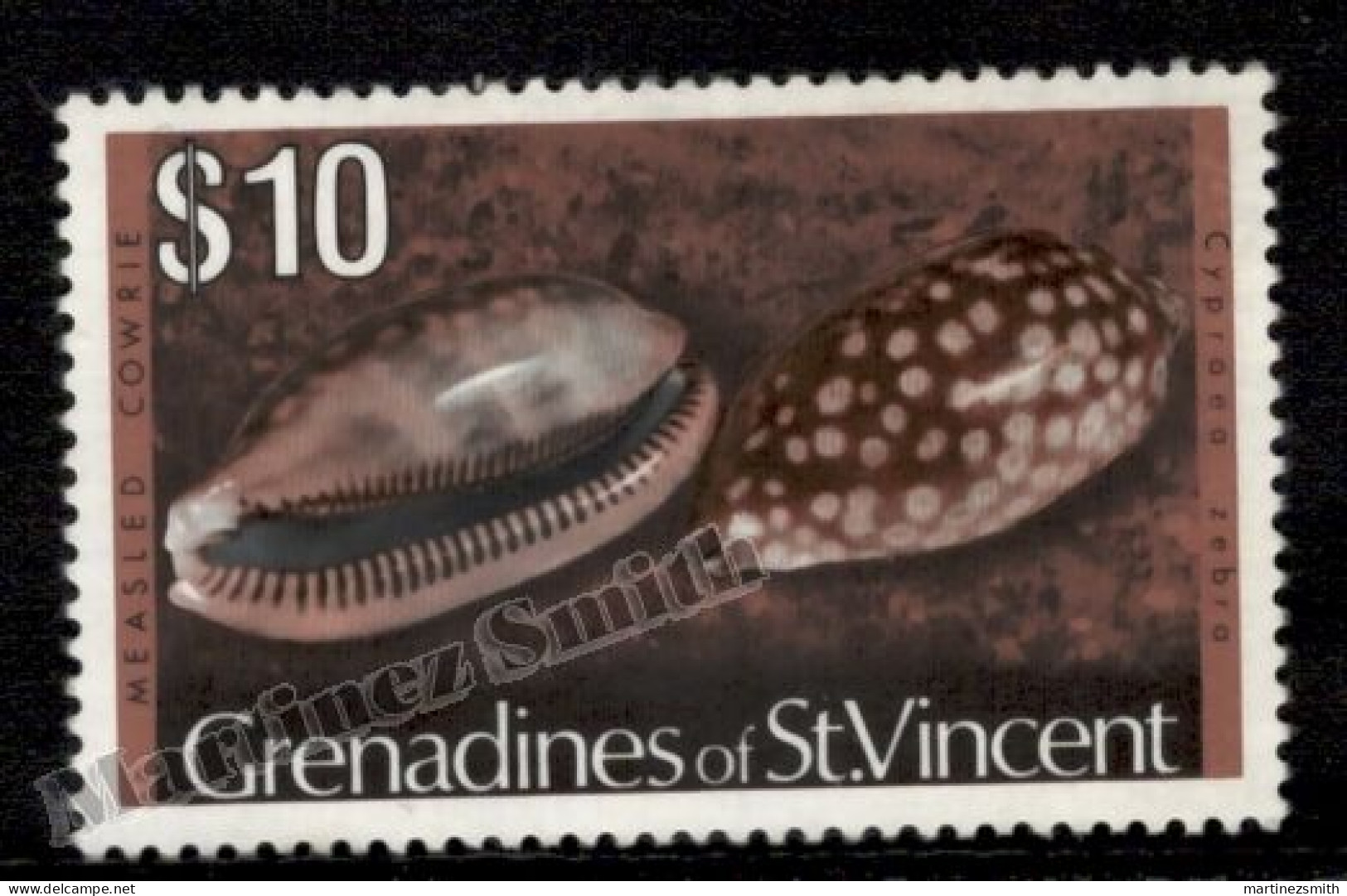 Saint Vincent & Grenadines 1976 Yvert 81, Sea Fauna, Shells - MNH - St.Vincent Y Las Granadinas