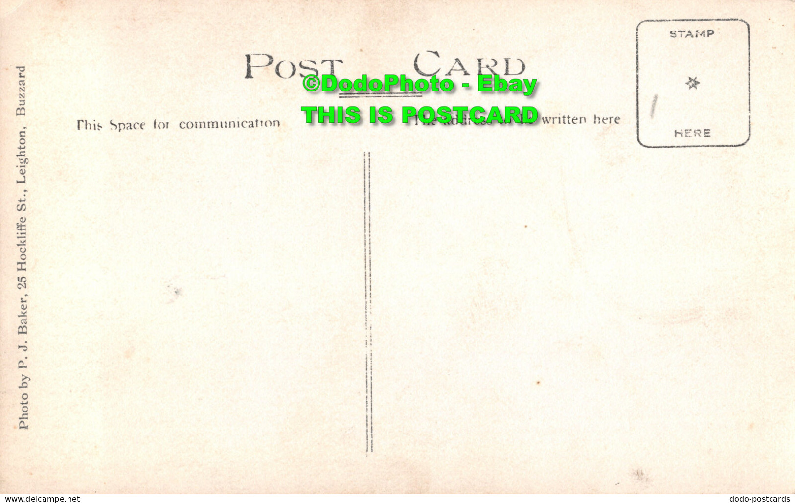 R421231 Man. Old Photography. Postcard. P. J. Baker. Buzzard - World