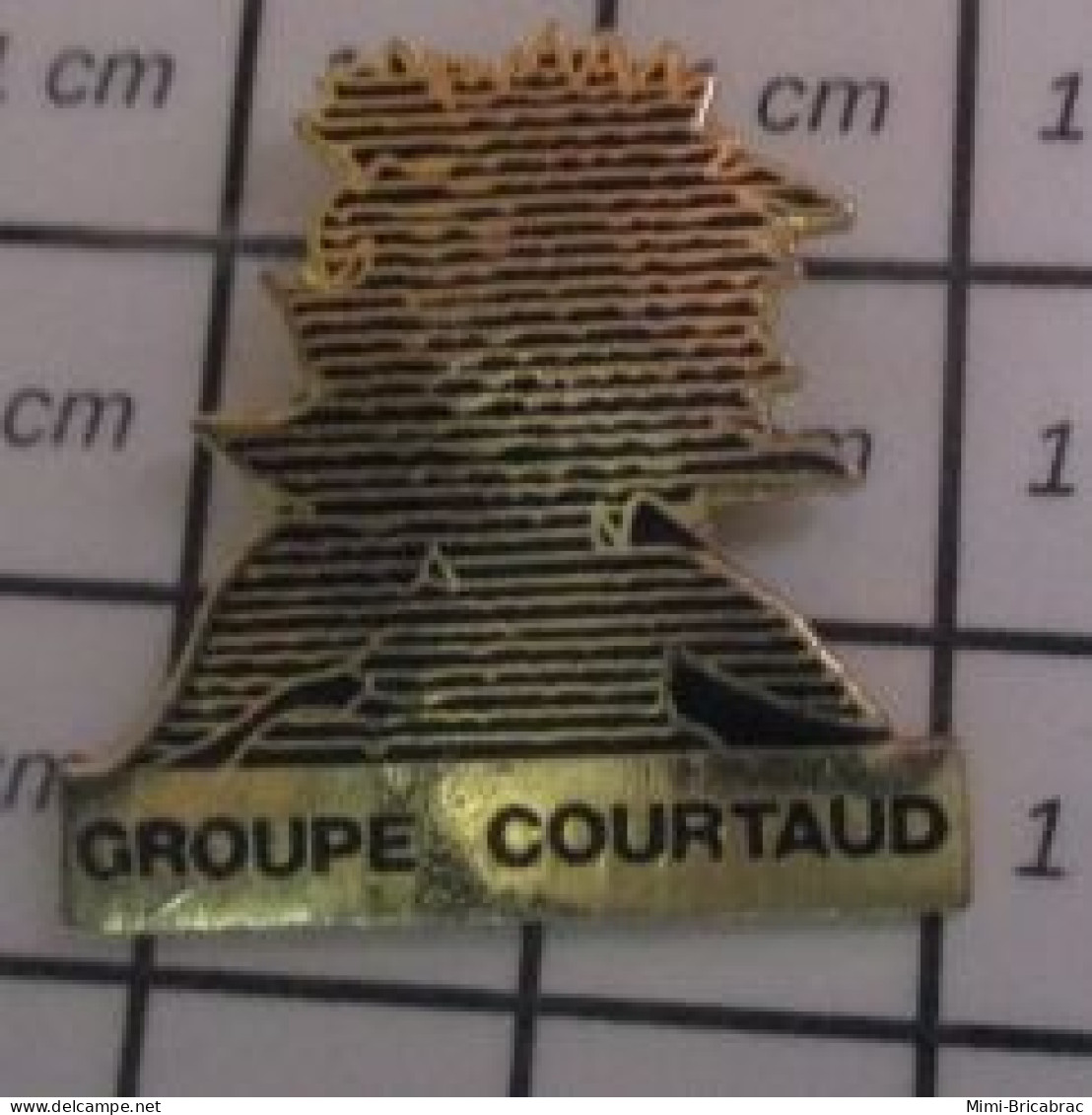 912c Pin's Pins / Beau Et Rare /  MARQUES / GROUPE COURTAUD A Déposé Son Bilan En 97 !!! - Merken