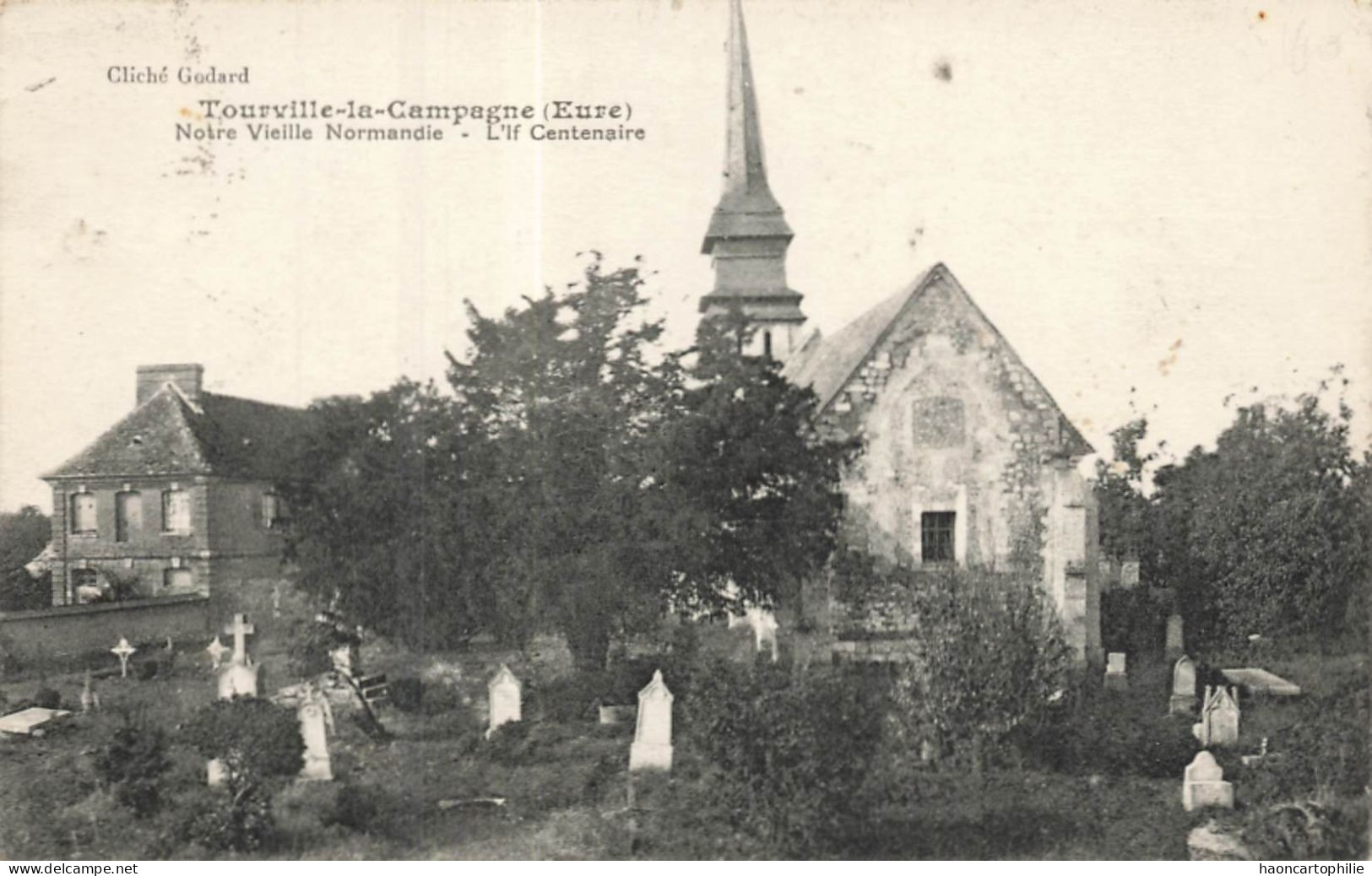 27  Tourville La Campagne  L'if Centenaire  Arbre - Sonstige & Ohne Zuordnung