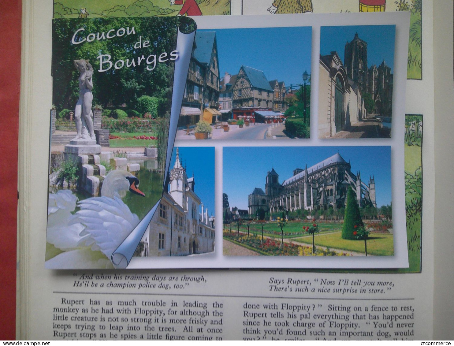 Coucou De Bourges - Bourges
