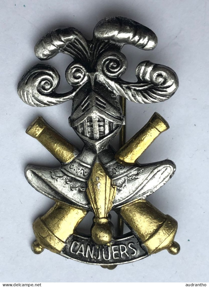 Insigne Militaire -  Cavalerie Du Camp De Canjuers G2300 DRAGO - Heer