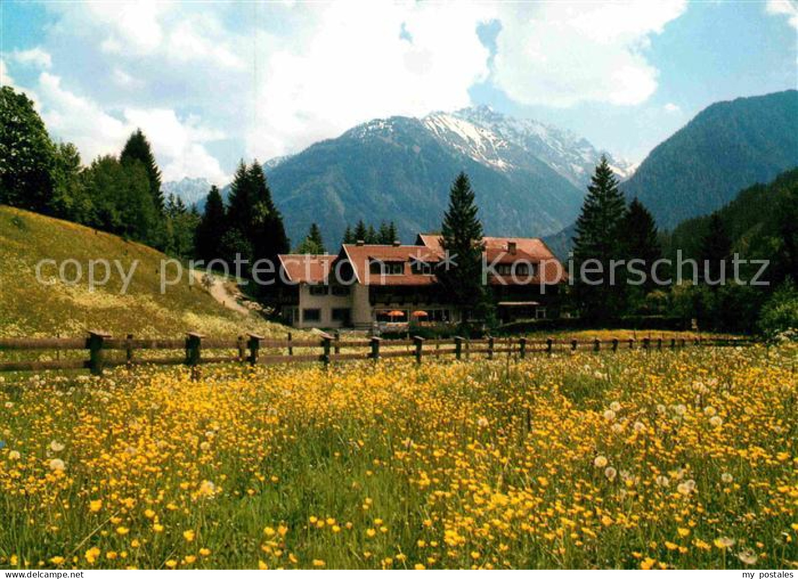 72711582 Wald Pinzgau Jagdschloss Graf Recke Sommerwiese Alpenblick Wald Pinzgau - Sonstige & Ohne Zuordnung