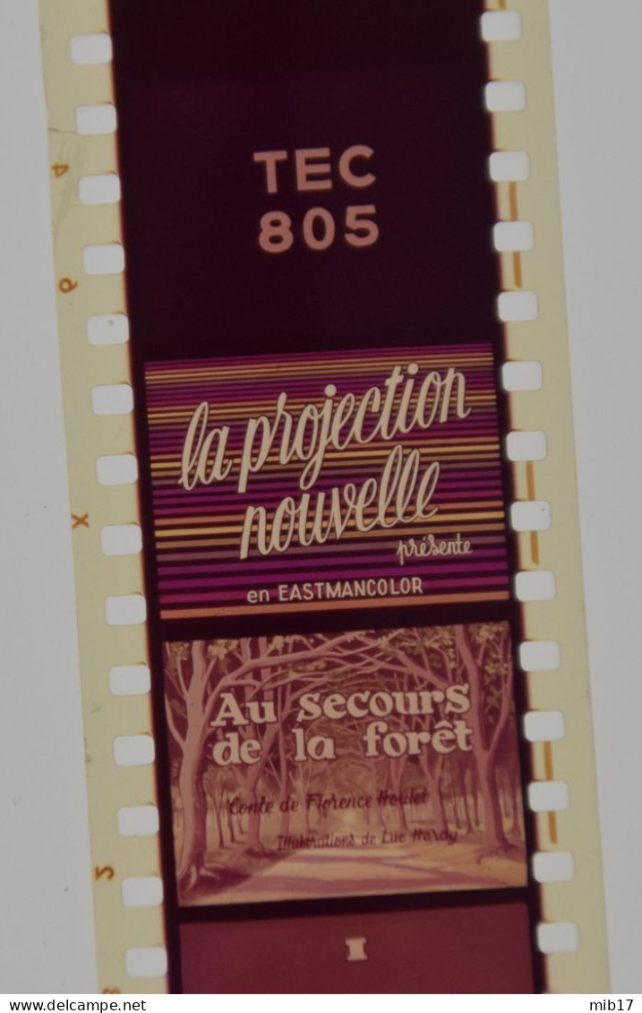 Films édition FILMOSTAT Pour PATHEORAMA Avec Boite D'origine - Au Secours De La Forêt I  Tec 805 - Bobines De Films: 35mm - 16mm - 9,5+8+S8mm