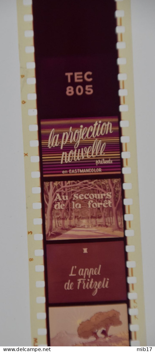Films édition FILMOSTAT Pour PATHEORAMA Avec Boite D'origine - Au Secours De La Forêt I  Tec 805 - 35mm -16mm - 9,5+8+S8mm Film Rolls
