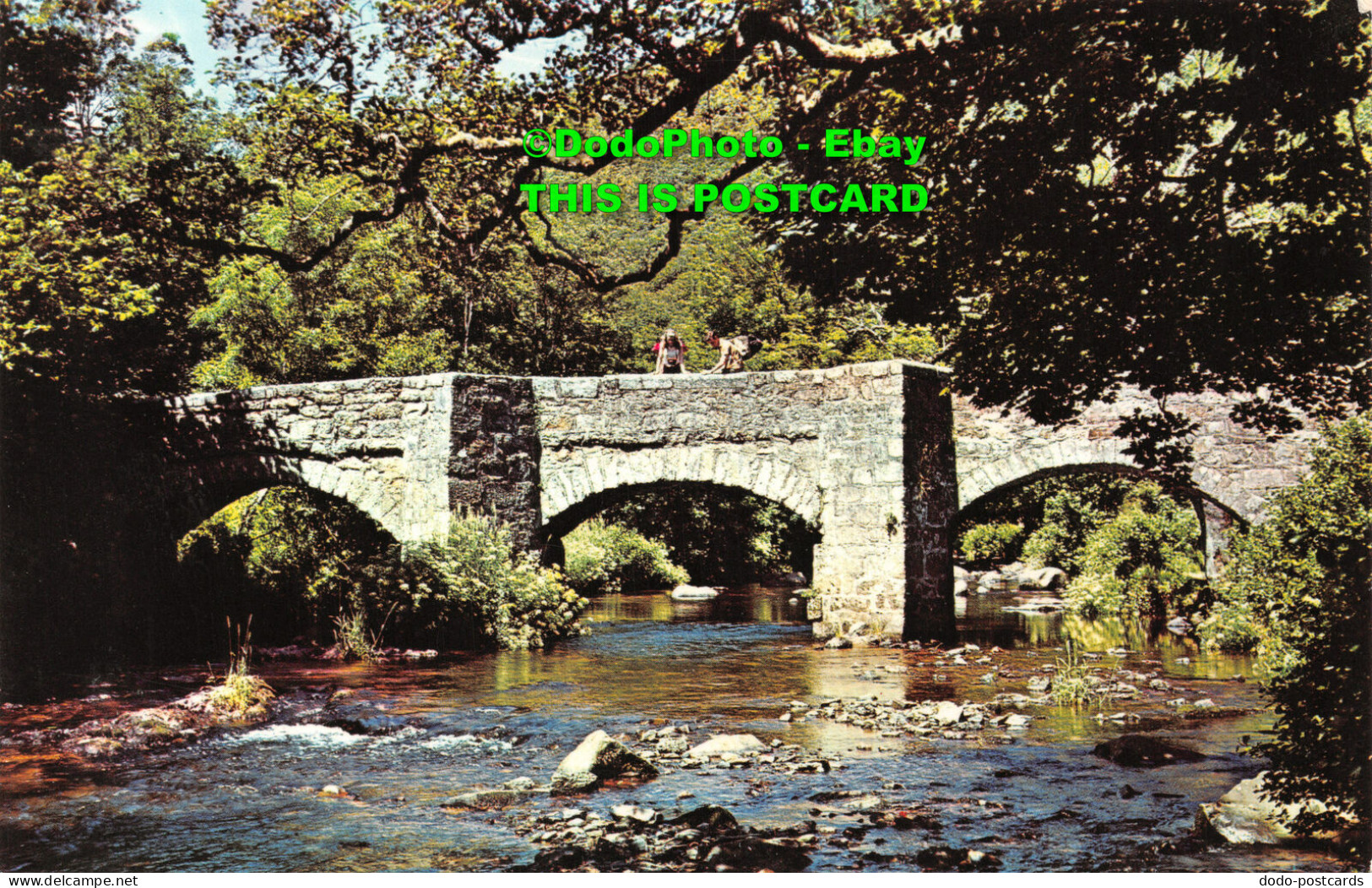 R421766 Fingle Bridge. Dartmoor. PT2039 - World