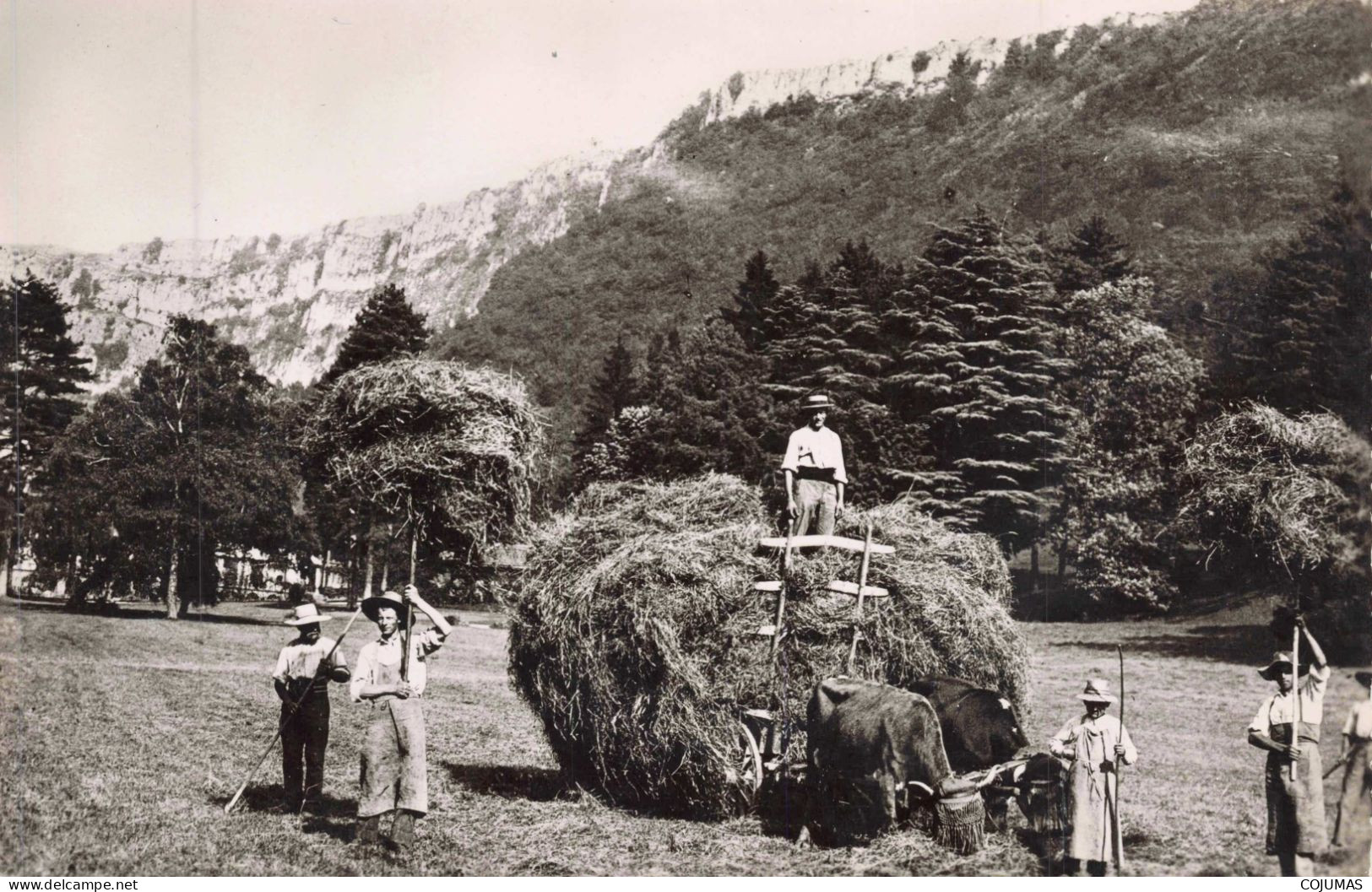 39 - COUSANCE _S28940_ La Fenaison - Agricultre - CPSM 14x9cm - Sonstige & Ohne Zuordnung