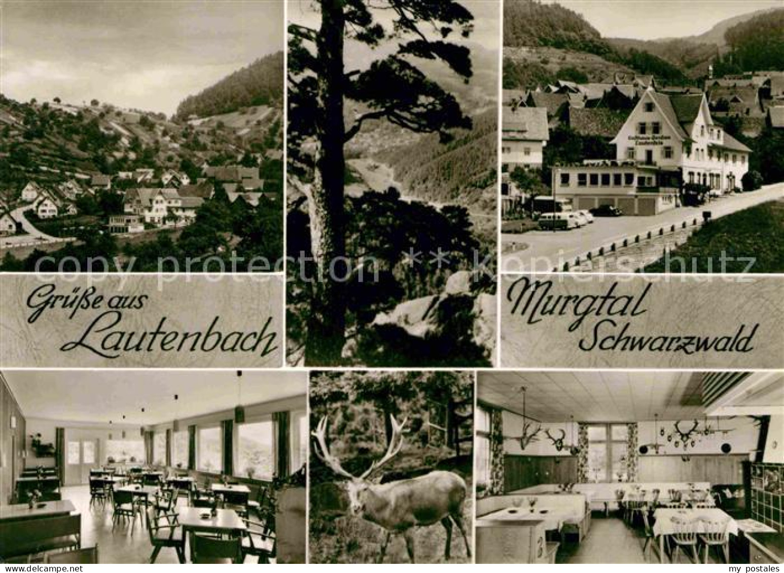 72710361 Lautenbach Renchtal Murgtal Gasthaus Pension Lautenfelsen Lautenbach - Autres & Non Classés
