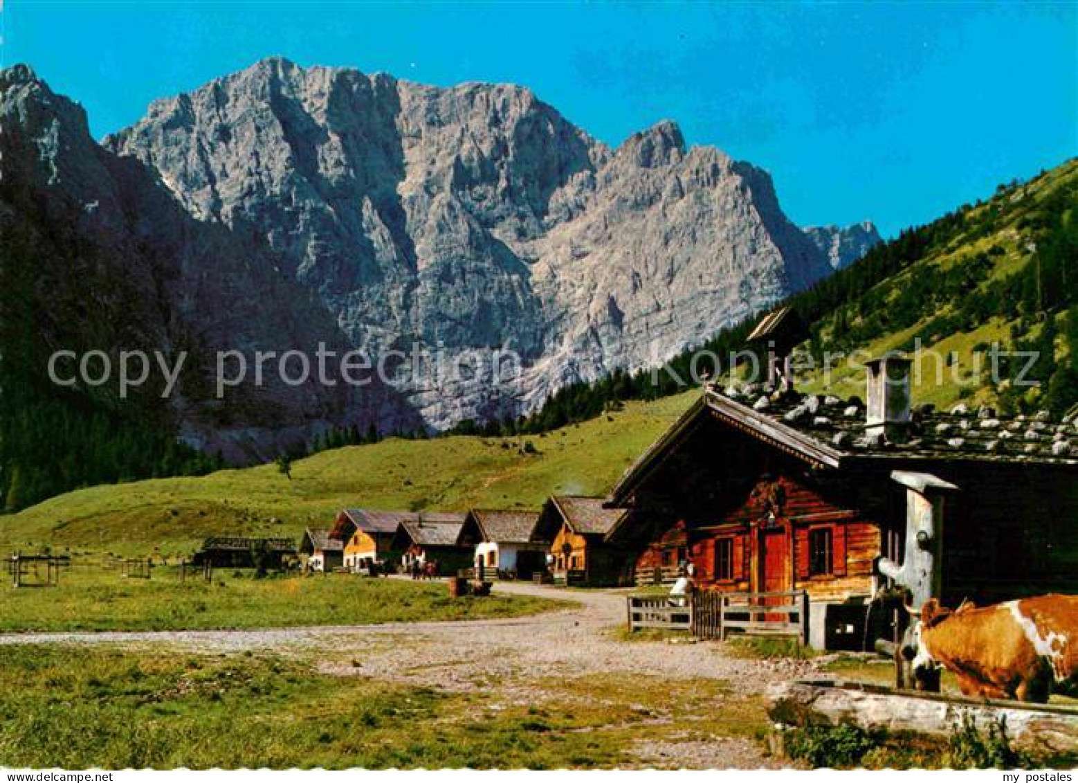 72709553 Eng Alm Almen Im Karwendel Brunnen Kuh Eng Alm - Autres & Non Classés