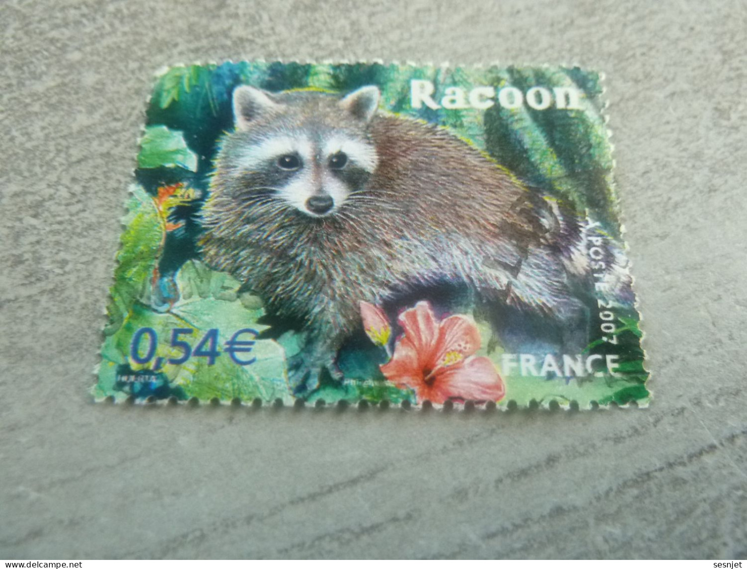 Le Racoon De La Guadeloupe - 0.54 € - Yt 4034 - Multicolore - Oblitéré - Année 2007 - - Roedores