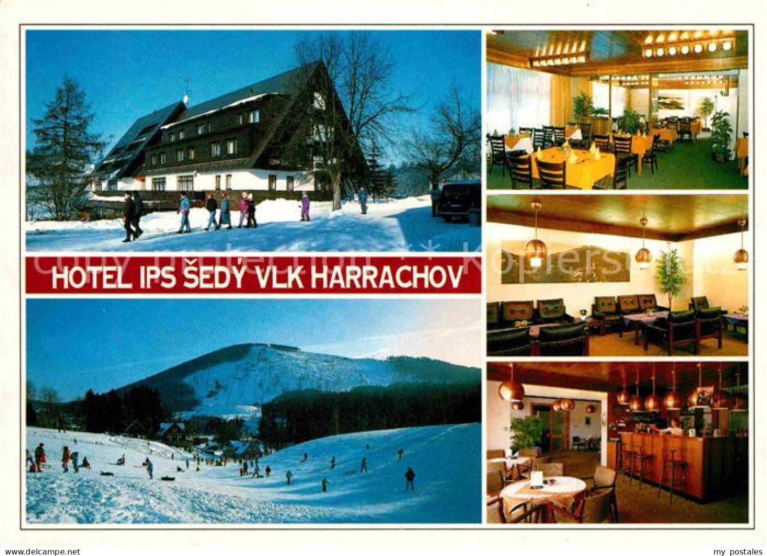 72709527 Harrachov Harrachsdorf Hotel Ips Sedy Vlk Krkonose Wintersportplatz Rie - Czech Republic