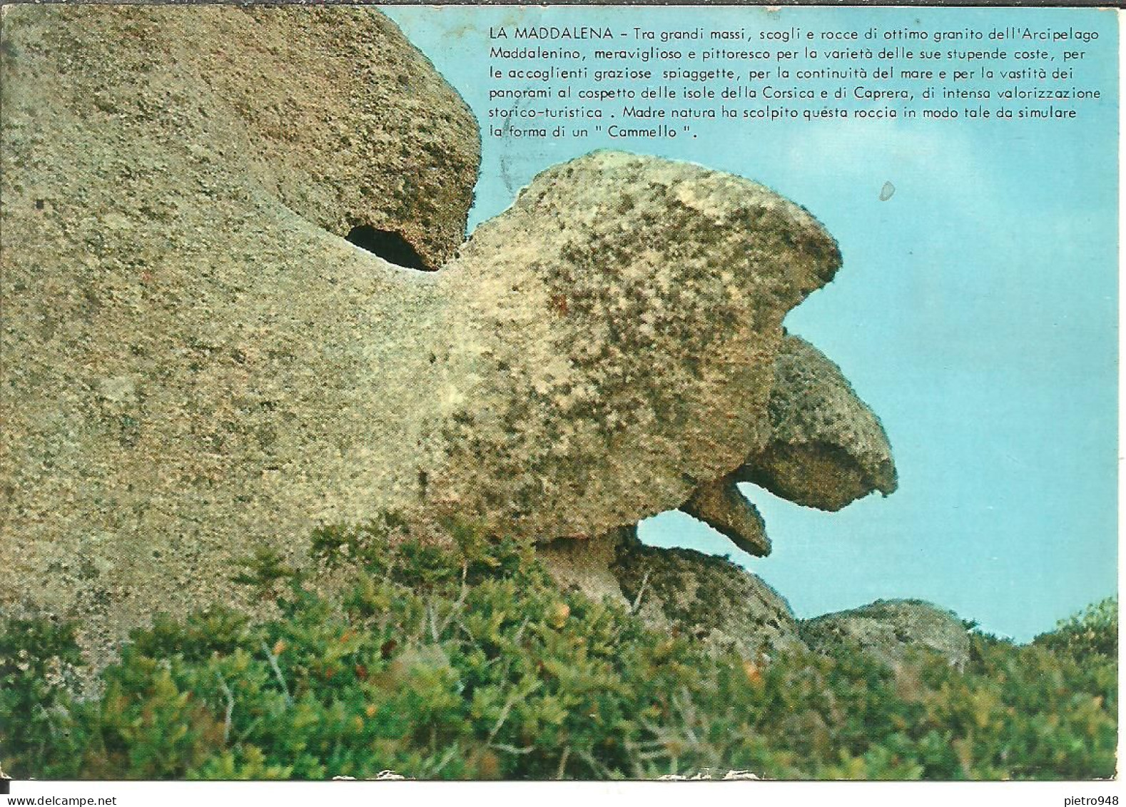 La Maddalena (Olbia) Roccia A Forma Di Un Cammello, Rock In The Shape Of A Camel, Rocher En Forme De Chameau - Olbia