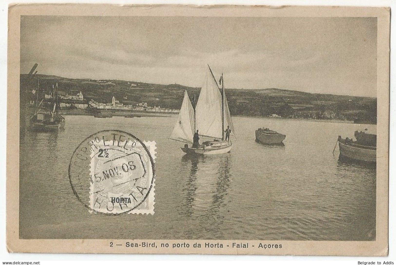 Portugal Açores Postcard Carte Postale CPA 1908 Sea-bird, No Porto Da Horta - Faial - Açores