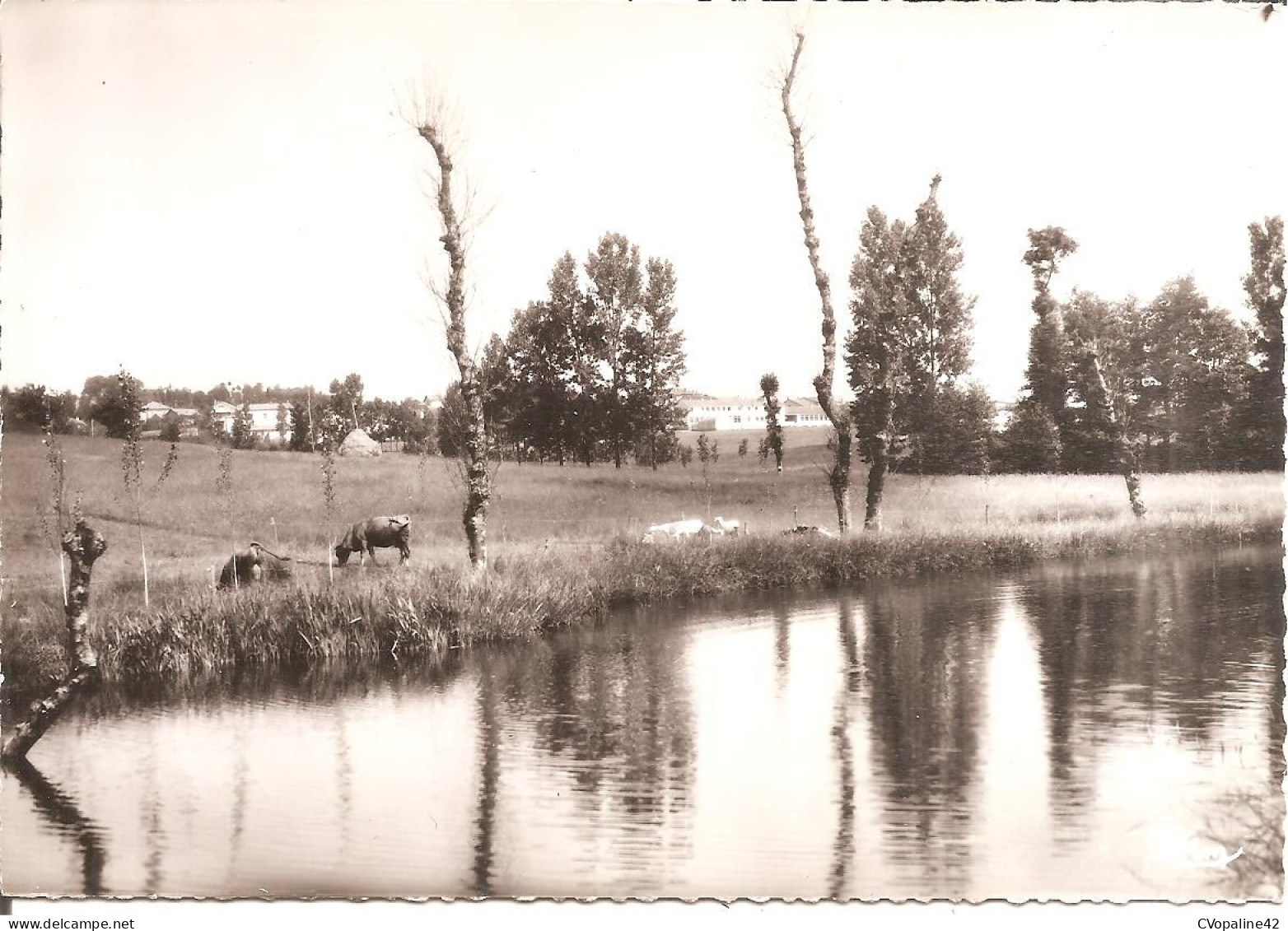 ALBOUSSIERE (07) Le Lac Sur Le Duzon  CPSM GF - Sonstige & Ohne Zuordnung