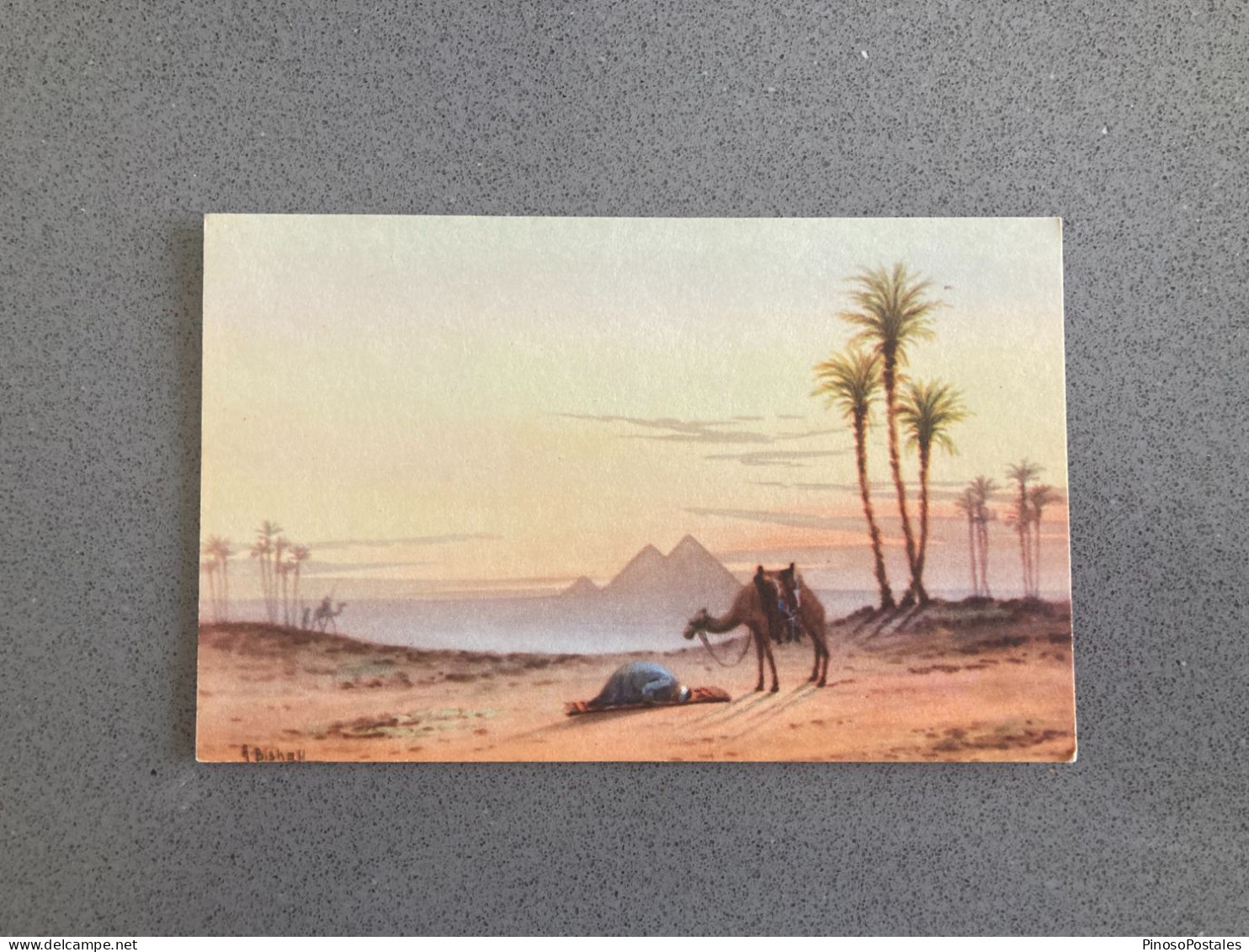 Prayer In The Desert At Sunrise, Near The Pyramids Of Giza Carte Postale Postcard - Pirámides