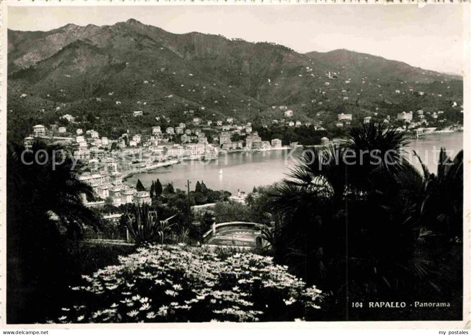 72707817 Rapallo Panorama Rapallo - Other & Unclassified