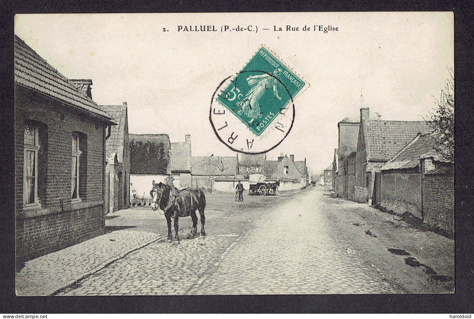 CP DPT 62 - PALLUEL - LA RUE DE L'EGLISE - Other & Unclassified