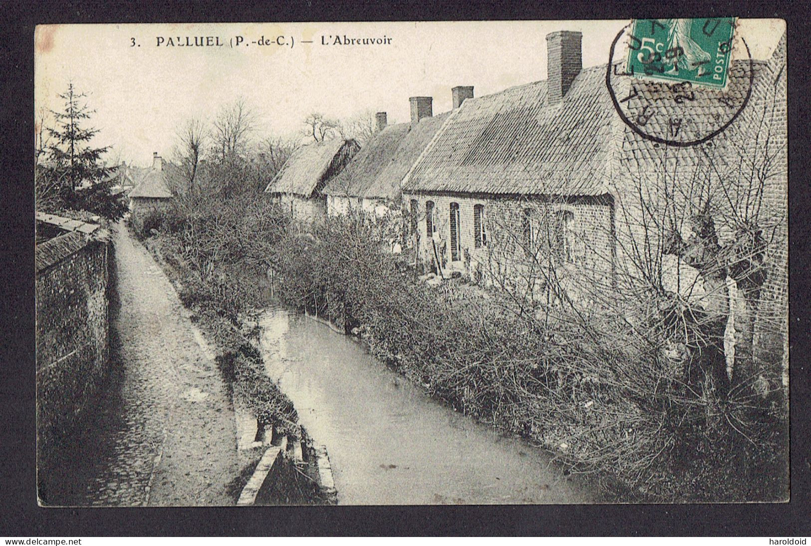 CP DPT 62 - PALLUEL - L'ABREUVOIR - Other & Unclassified