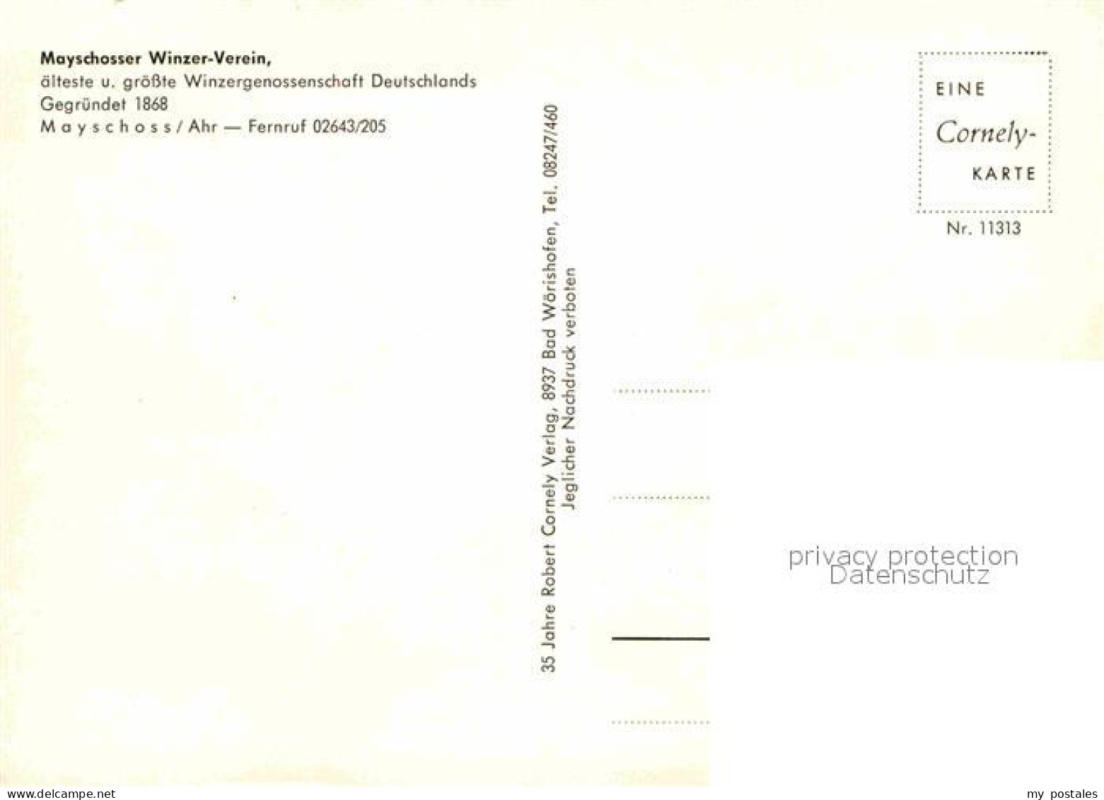 72707642 Mayschoss Panorama Ahrtal Mayschosser Winzerverein Aelteste Und Groesst - Other & Unclassified