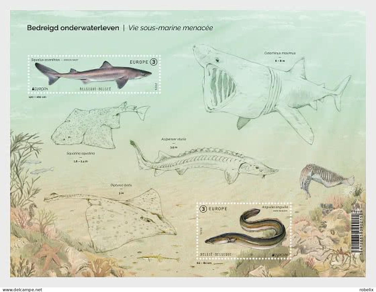 Belgium - Belgique - Belgien 2024 Europa CEPT - FISHES -Underwater Fauna & Flora  Souvenir Sheet  MNH** - Fische