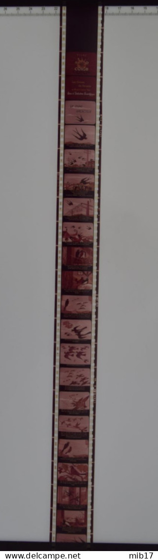 Films HELIO COLOR Pour PATHEORAMA Avec Boite D'origine - Contes Scientifique N°21 La Jeune Hirondelle - Filmspullen: 35mm - 16mm - 9,5+8+S8mm