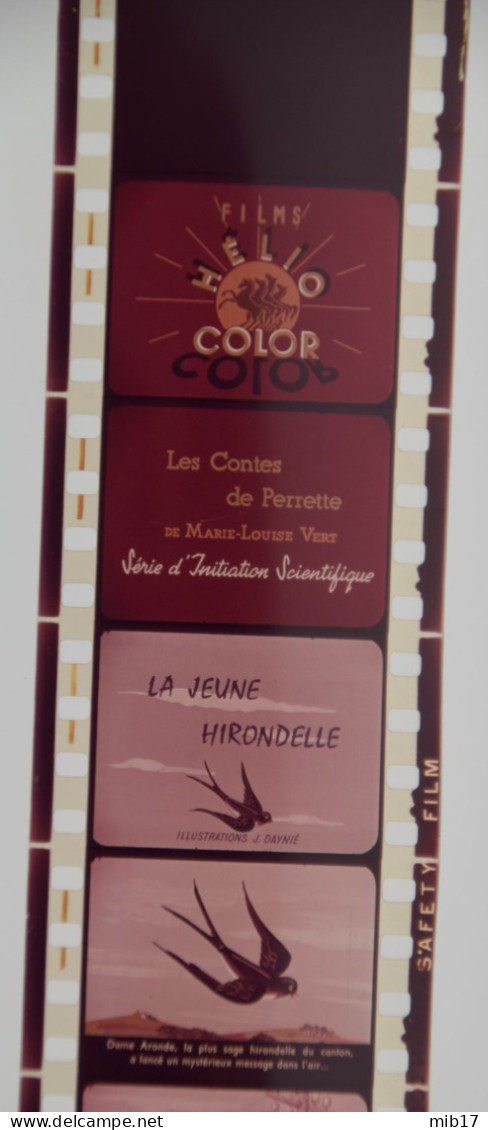 Films HELIO COLOR Pour PATHEORAMA Avec Boite D'origine - Contes Scientifique N°21 La Jeune Hirondelle - Filme: 35mm - 16mm - 9,5+8+S8mm