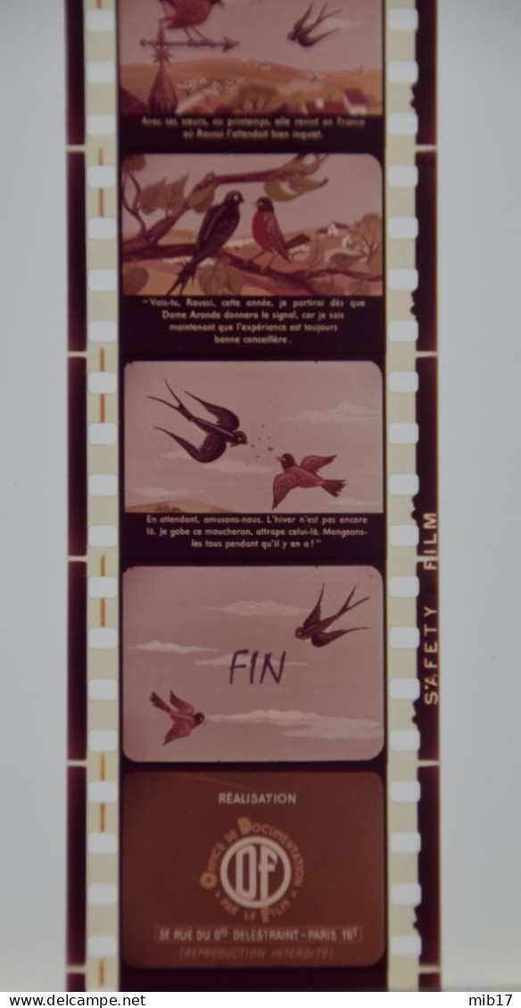 Films HELIO COLOR Pour PATHEORAMA Avec Boite D'origine - Contes Scientifique N°21 La Jeune Hirondelle - 35mm -16mm - 9,5+8+S8mm Film Rolls