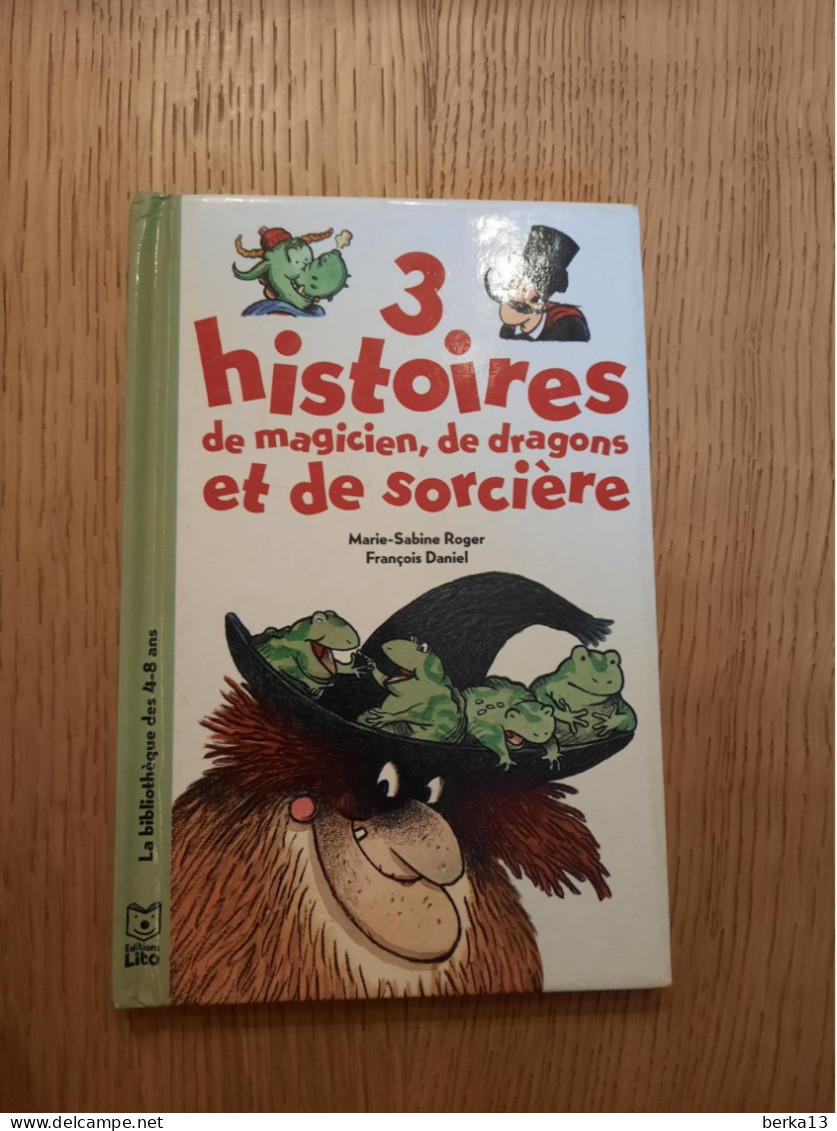 3 Histoires De Magicien, De Dragons Et De Sorcière ROGER Et DANIEL 1997 - Autres & Non Classés