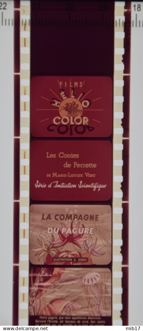 Films HELIO COLOR Pour PATHEORAMA Avec Boite D'origine - Contes Scientifique N°24 La Compagne Du Pagure - Filme: 35mm - 16mm - 9,5+8+S8mm