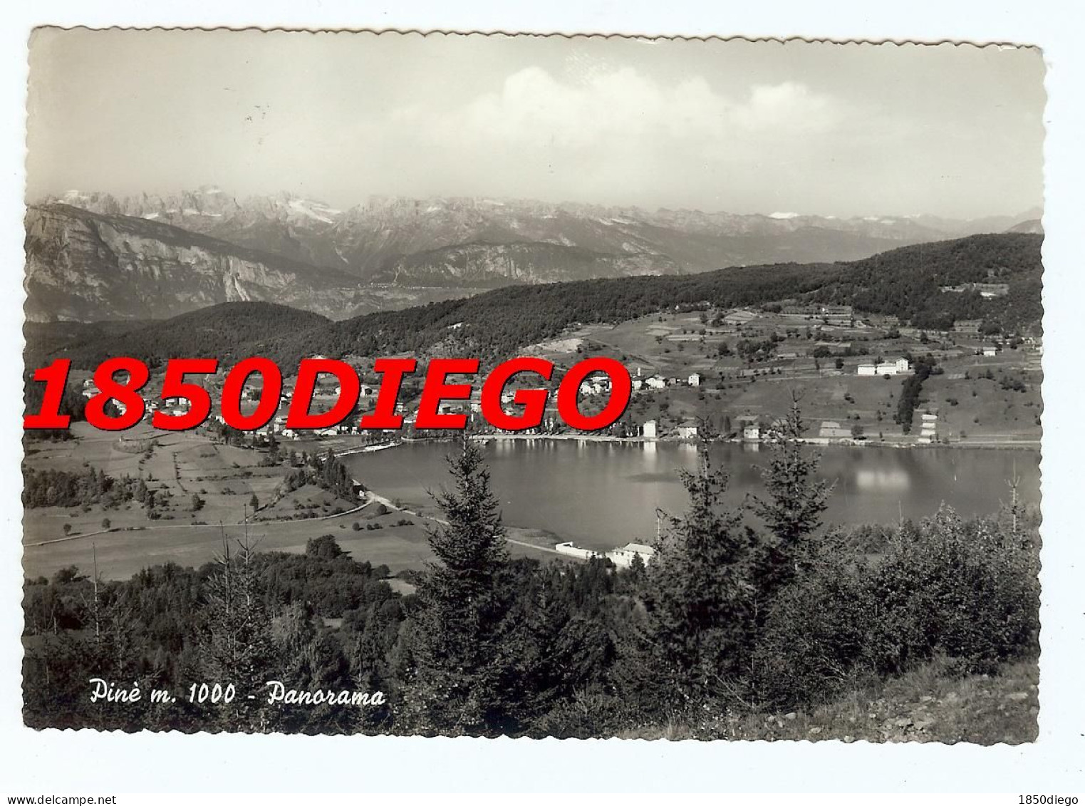 PINE' - PANORAMA F/GRANDE  VIAGGIATA 1959 - Trento