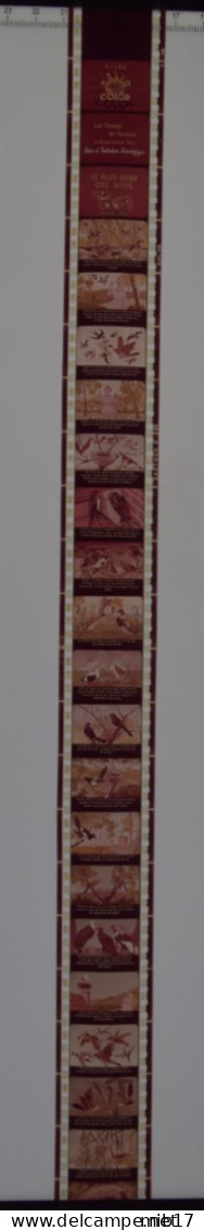 Films HELIO COLOR Pour PATHEORAMA Avec Boite D'origine - Contes Scientifique N°29 Le Plus Beau Des Nids - 35mm -16mm - 9,5+8+S8mm Film Rolls