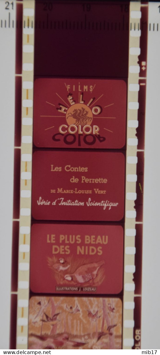Films HELIO COLOR Pour PATHEORAMA Avec Boite D'origine - Contes Scientifique N°29 Le Plus Beau Des Nids - 35mm -16mm - 9,5+8+S8mm Film Rolls
