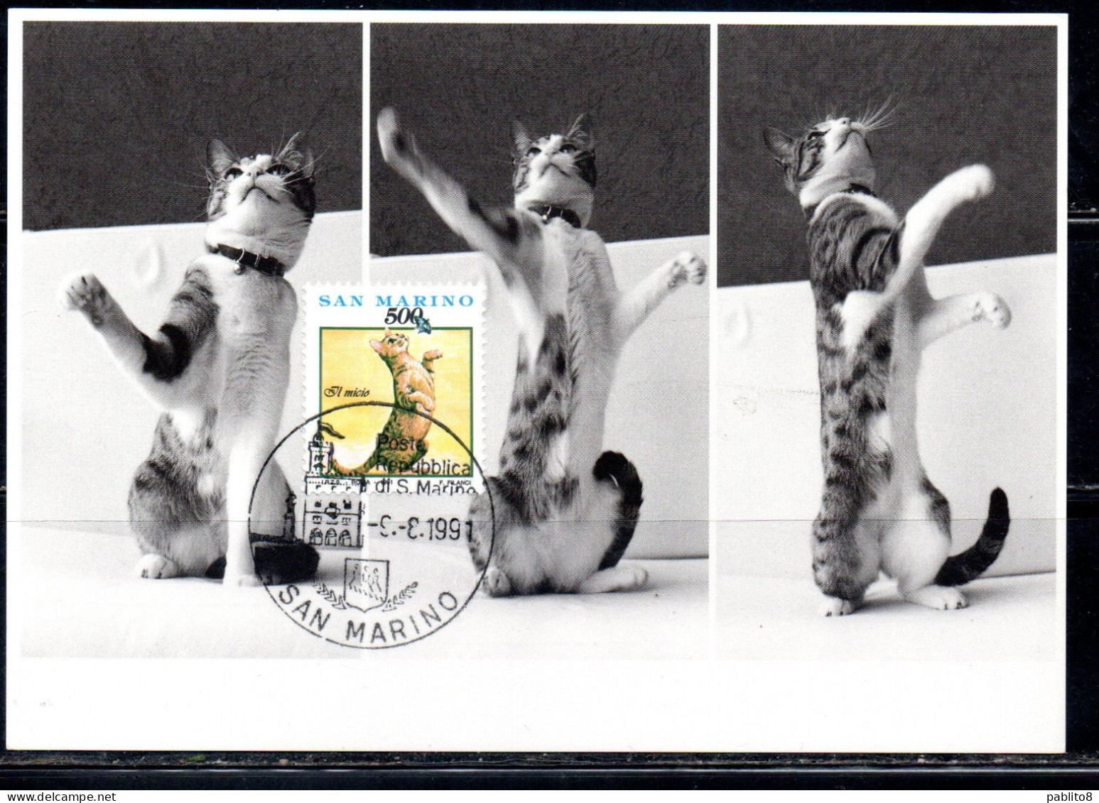 REPUBBLICA DI SAN MARINO 1991 COSE GESTI E AFFETTI IL MICIO THE CAT LIRE 500 MAXI MAXIMUM CARD CARTOLINA CARTE - FDC