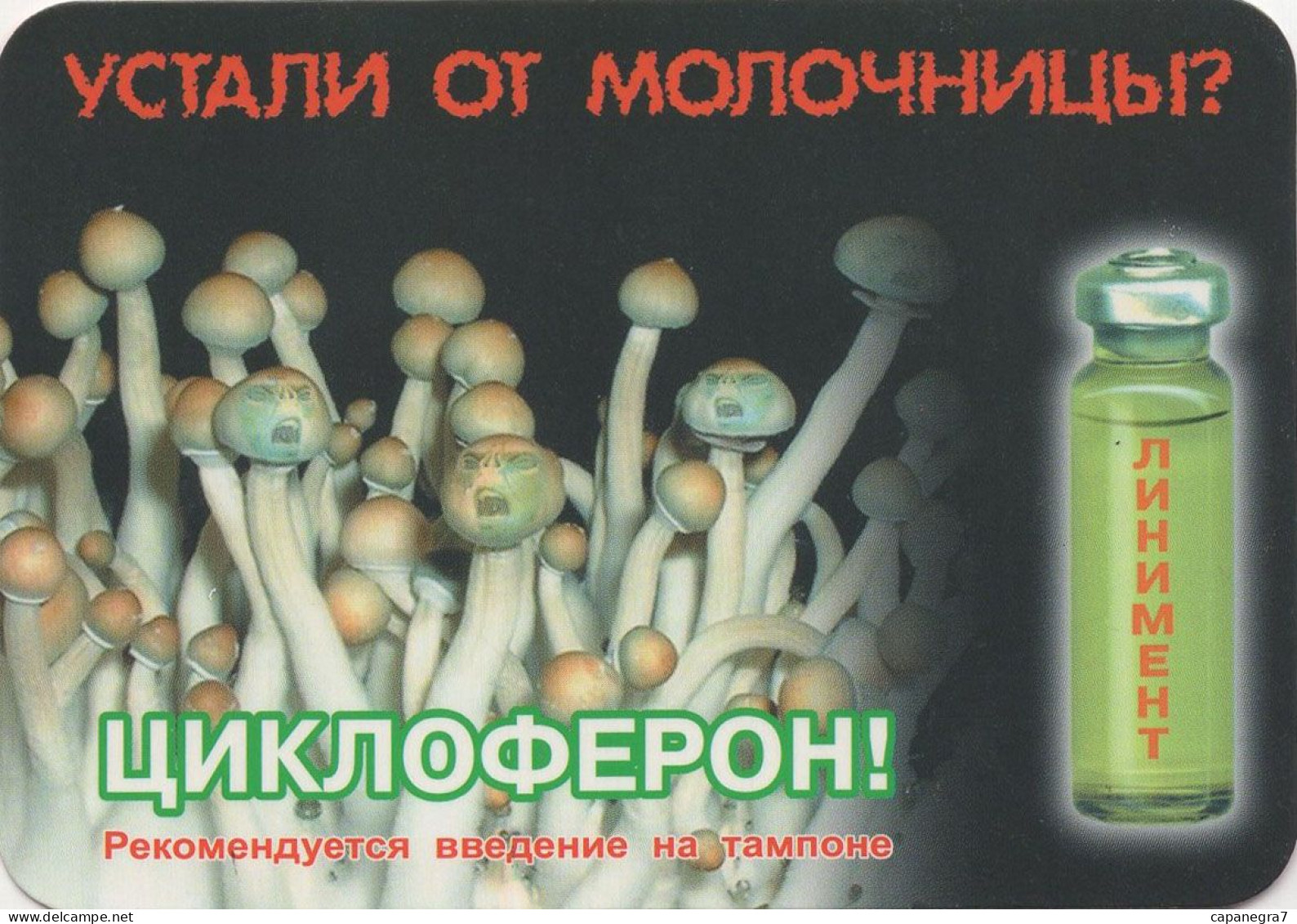 Mushrooma, Pharmacia, Russia, 2003,  100 X 70 Mm - Big : 1991-00