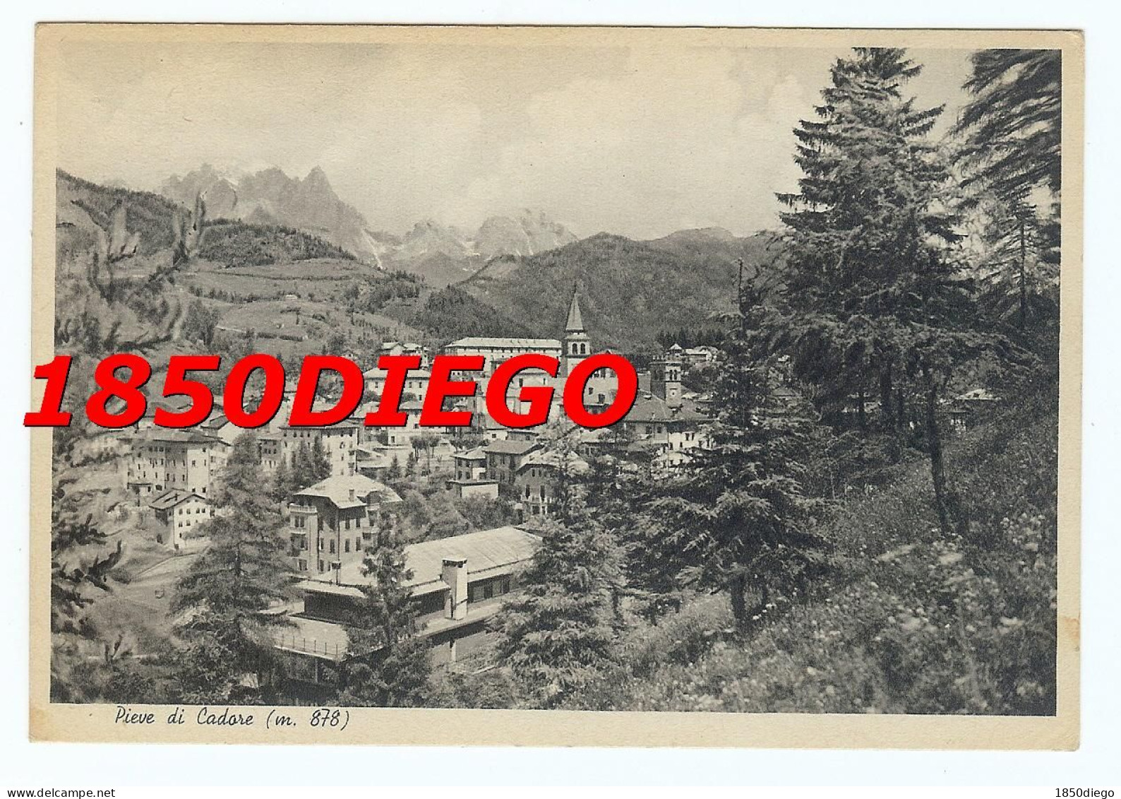 PIEVE DI CADORE - PANORAMA F/GRANDE  VIAGGIATA 1956 - Belluno