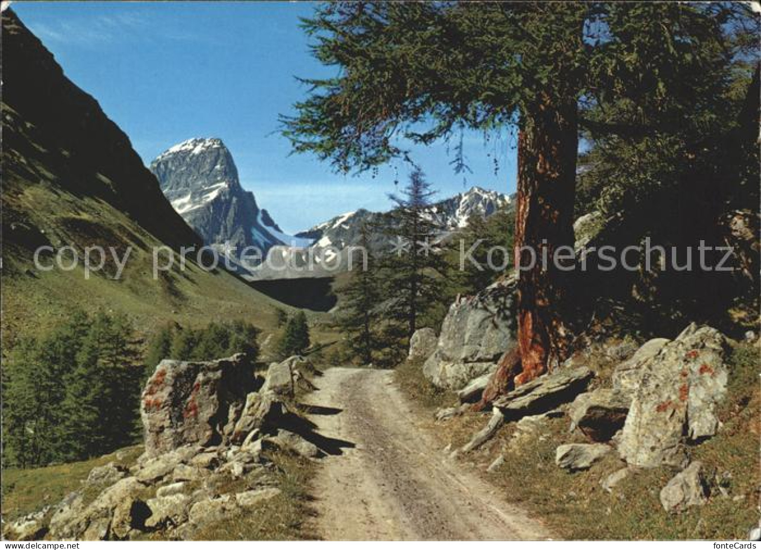 11864116 Guarda Inn Tuoital Piz Buin Guarda - Andere & Zonder Classificatie