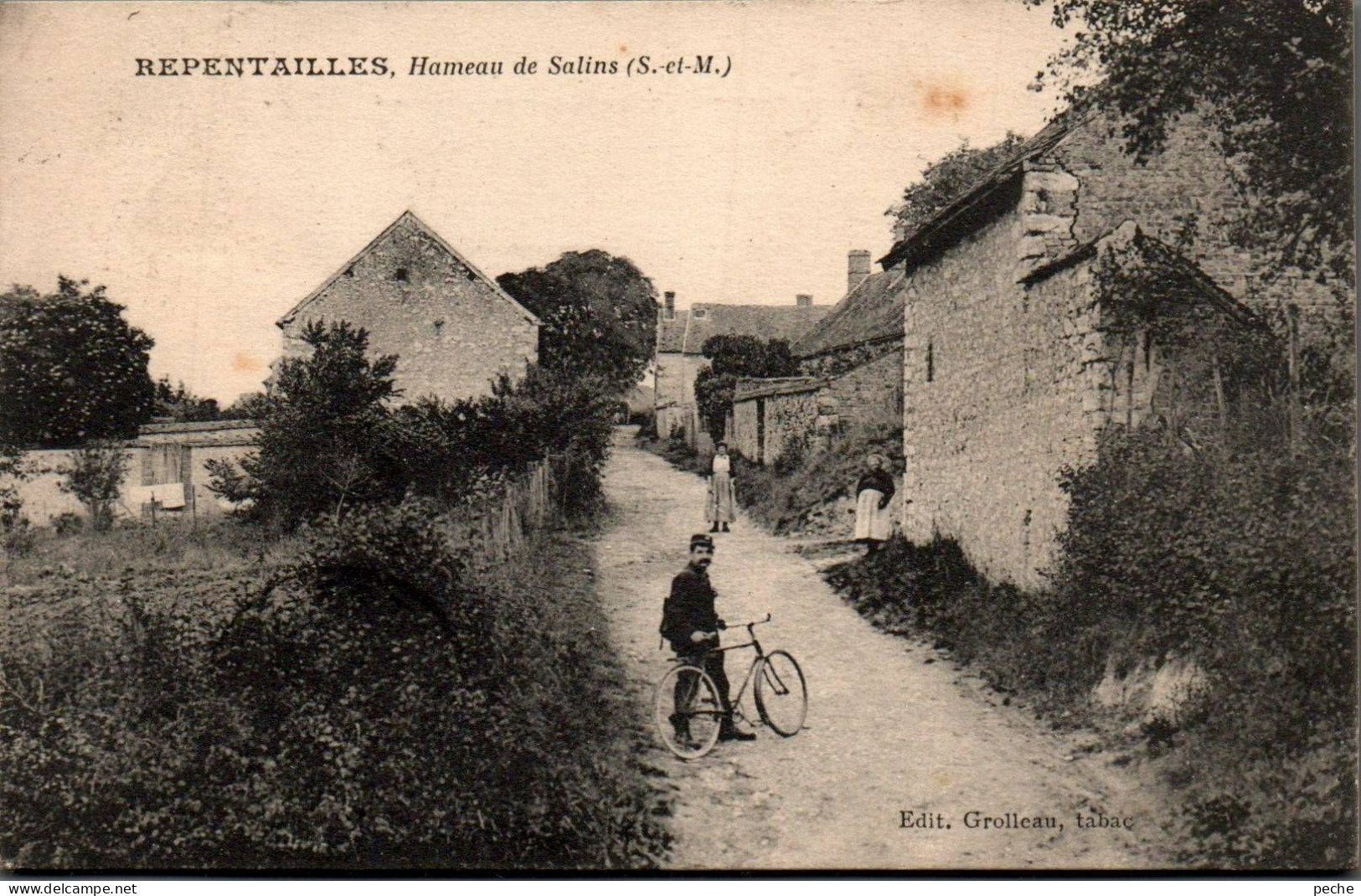 N°2680 W -cpa Repentailles -hameau De Salins- - Autres & Non Classés