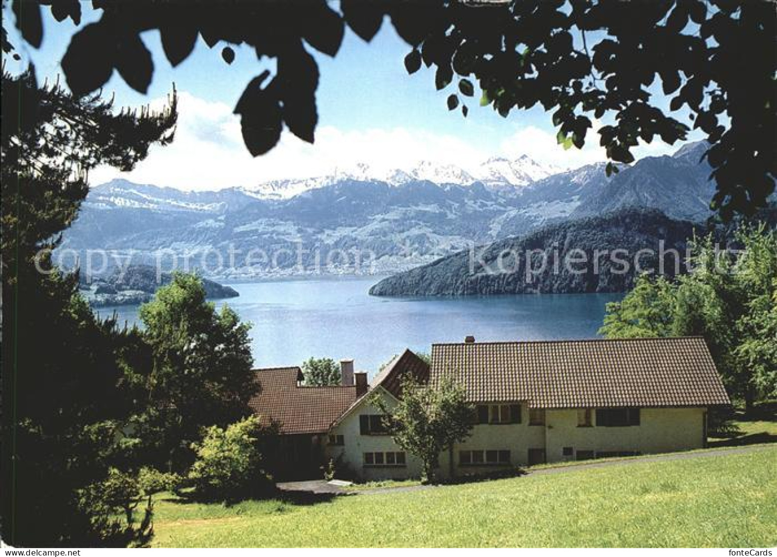 11862327 Weggis Vierwaldstaettersee Pension Blaukreuzheim Weggis - Other & Unclassified