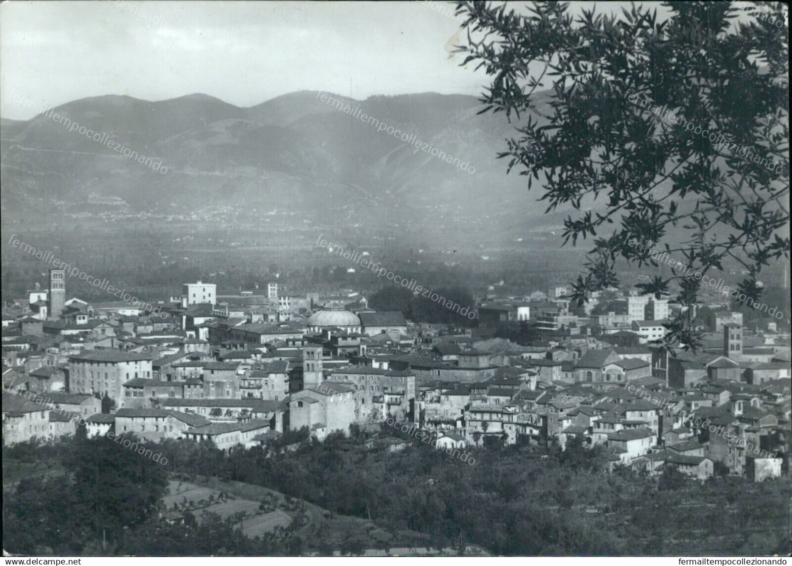 Cr319 Cartolina Rieti Citta' Panorama Lazio - Rieti