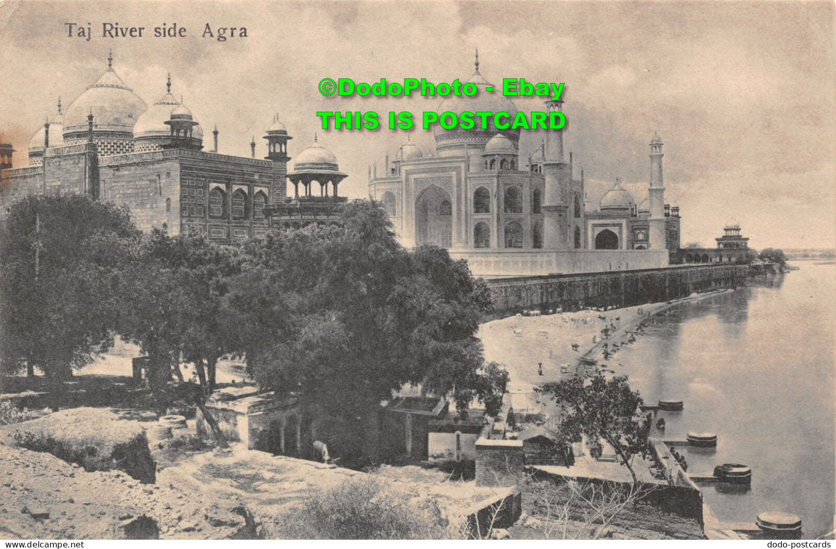 R421847 Taj River Side Agra. H. A. Mirza. Delhi - Monde