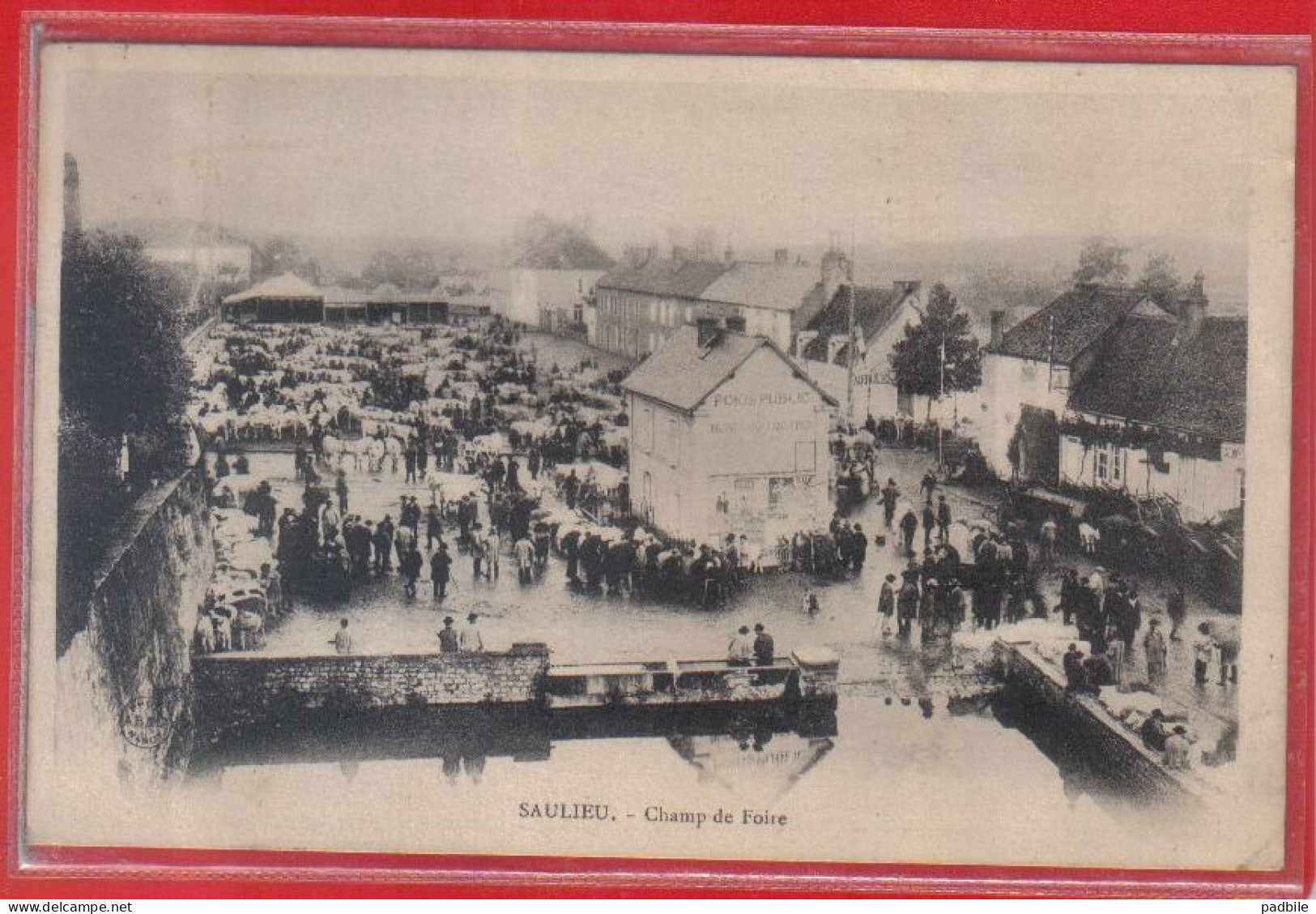 Carte Postale 21. Saulieu  Champ De Foire  Très Beau Plan - Saulieu