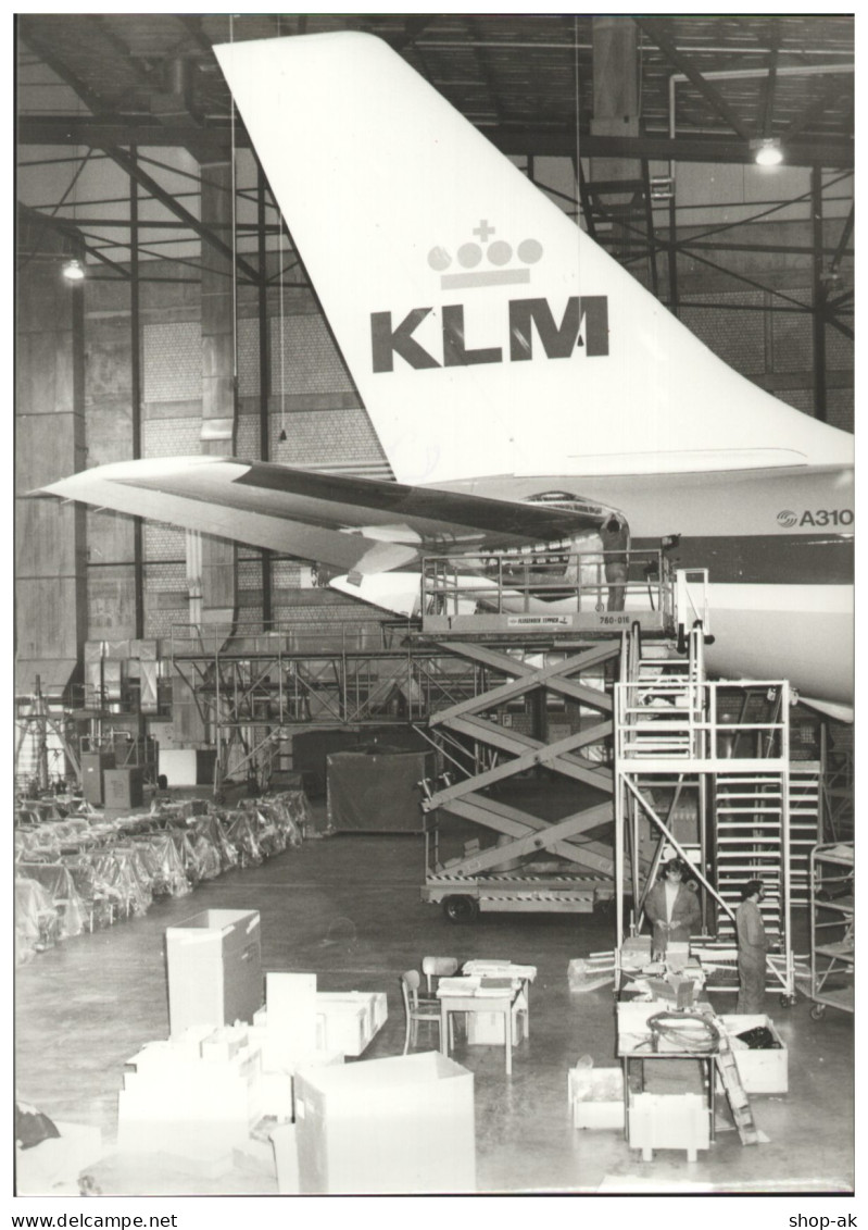 C5857/ LTU Flugzeug Airbus A 310 Im Bau Foto 21 X 15 Cm 80er Jahre Hamburg - Otros & Sin Clasificación