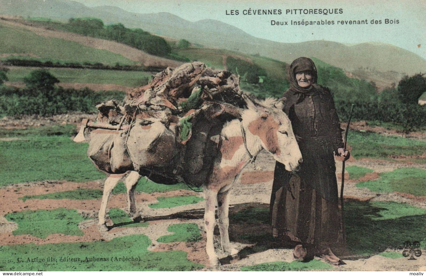 LES CEVENNES PITTORESQUES - Sonstige & Ohne Zuordnung