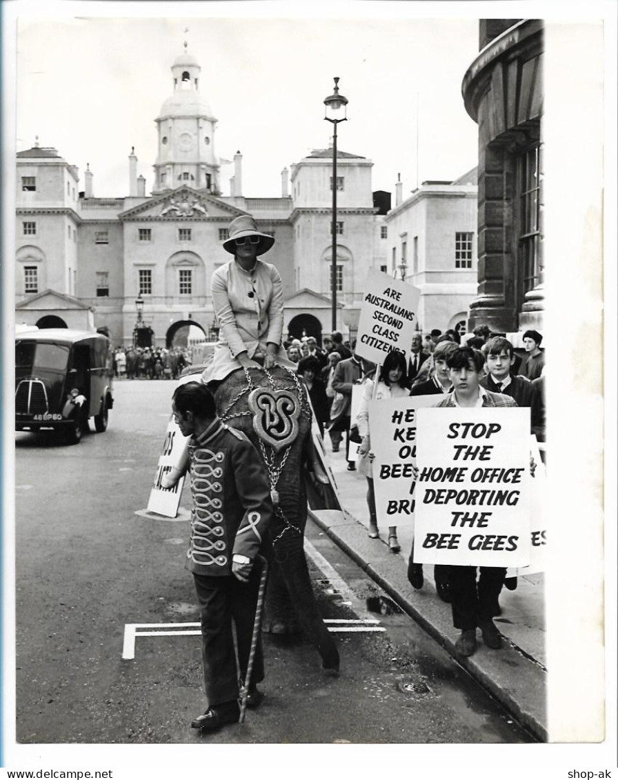 C6284/ Demonstration Für Die Bee Gees Aufenthaltsrecht In England Foto 1967 - Autres & Non Classés