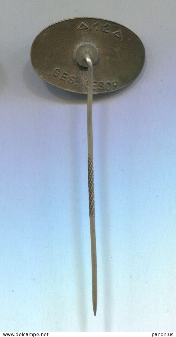 DLRG German Life Saving Association, Vintage Pin Badge Abzeichen - Vereinswesen