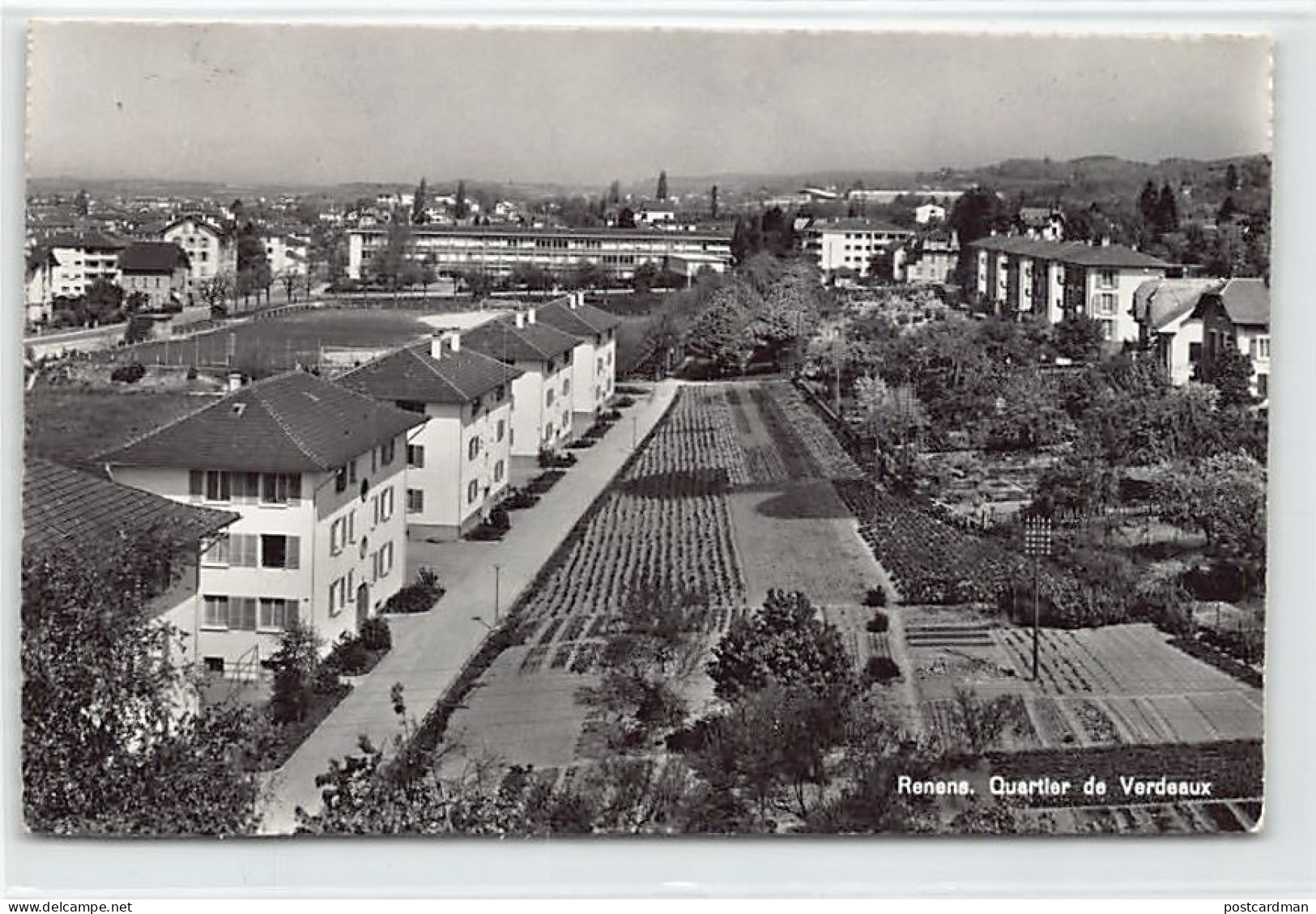 Suisse - Renens (VD) Quartier De Verdeaux- Ed. Photoglob-Wehrli 10601 - Renens