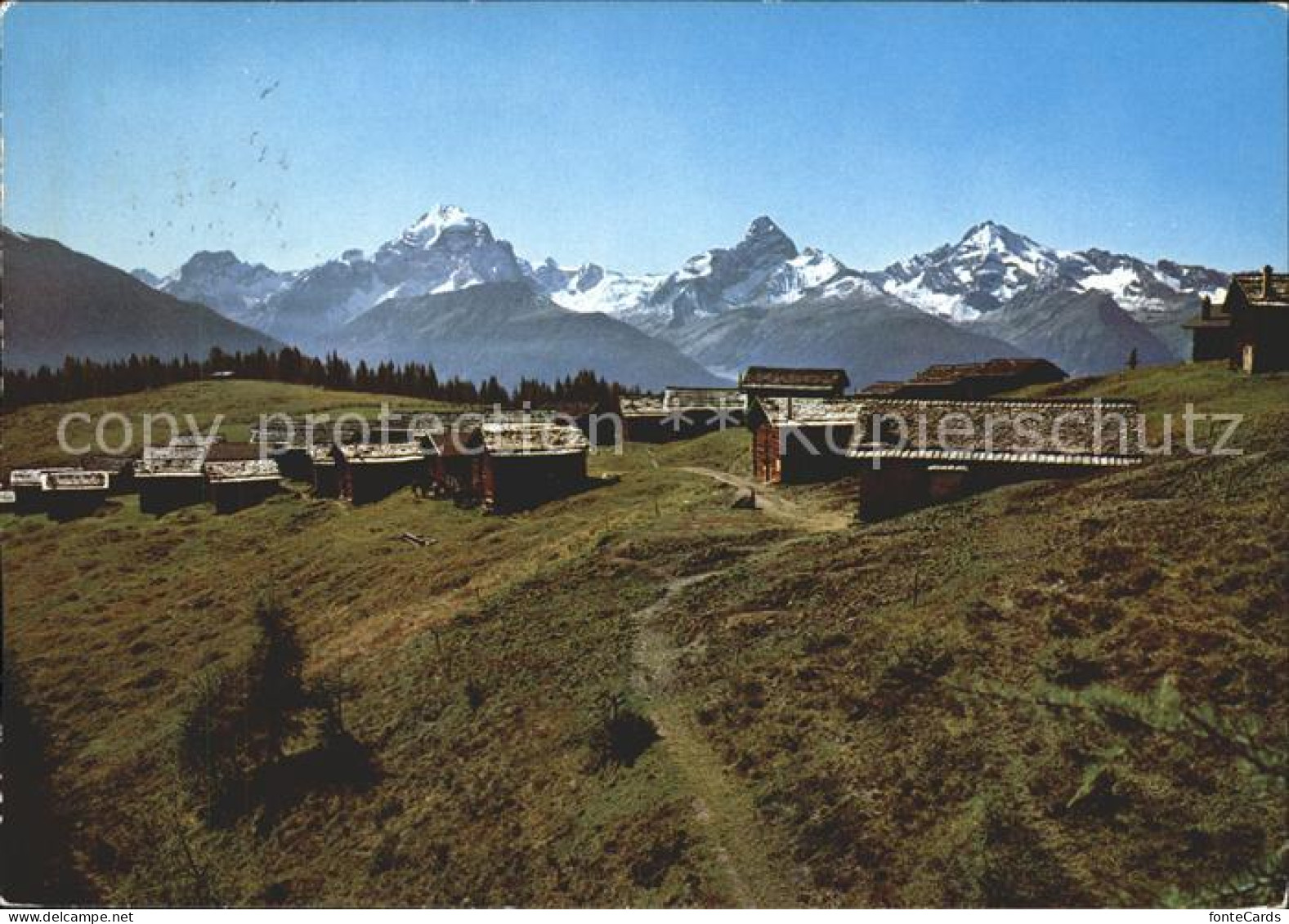 11852526 Wiesen Albula Wiesener Alp Mit Piz D`Ela Tinzenhorn Piz Mitgel  - Autres & Non Classés