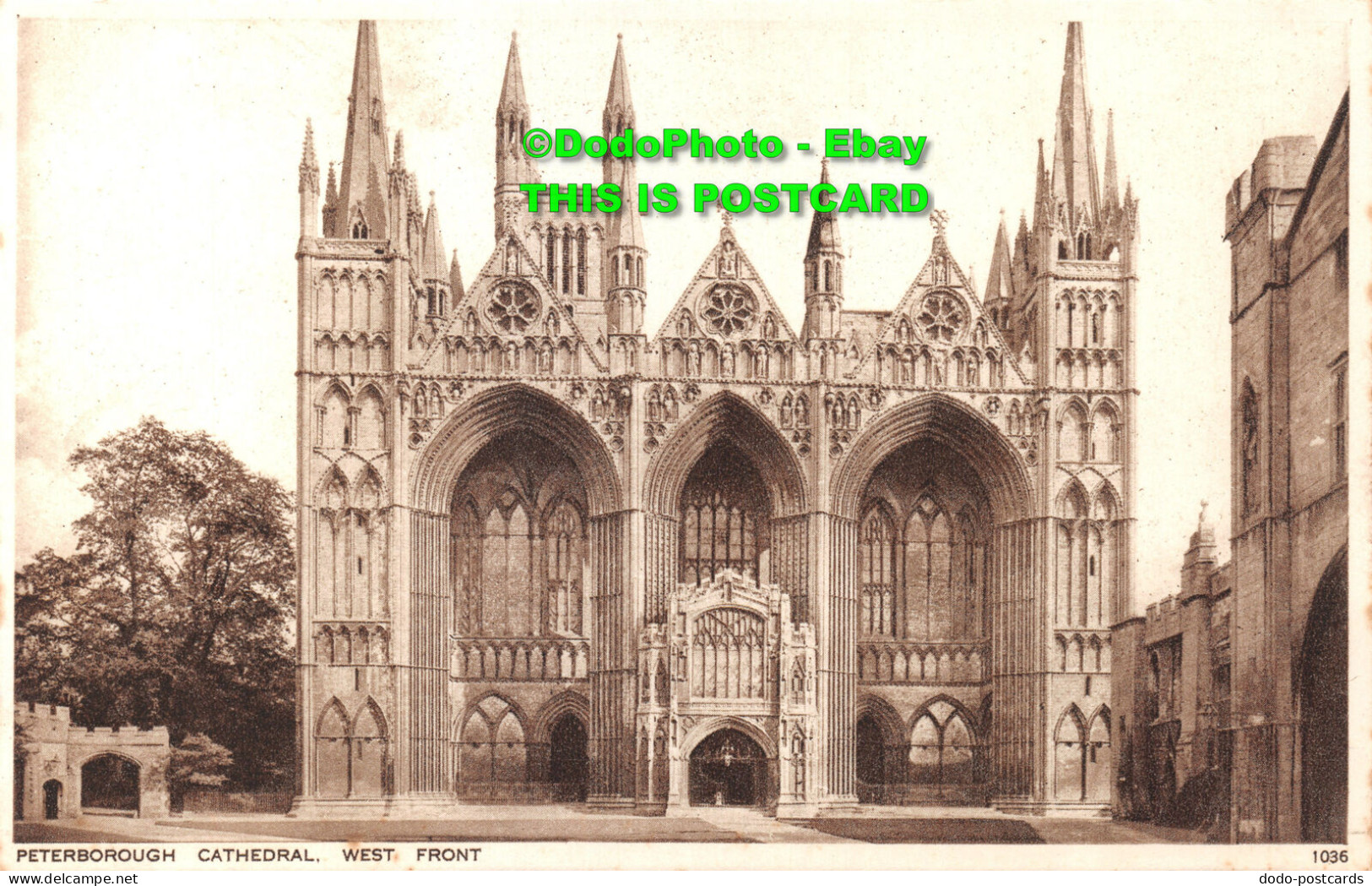 R422417 Peterborough Cathedral. West Front. 1036. Photochrom - Monde