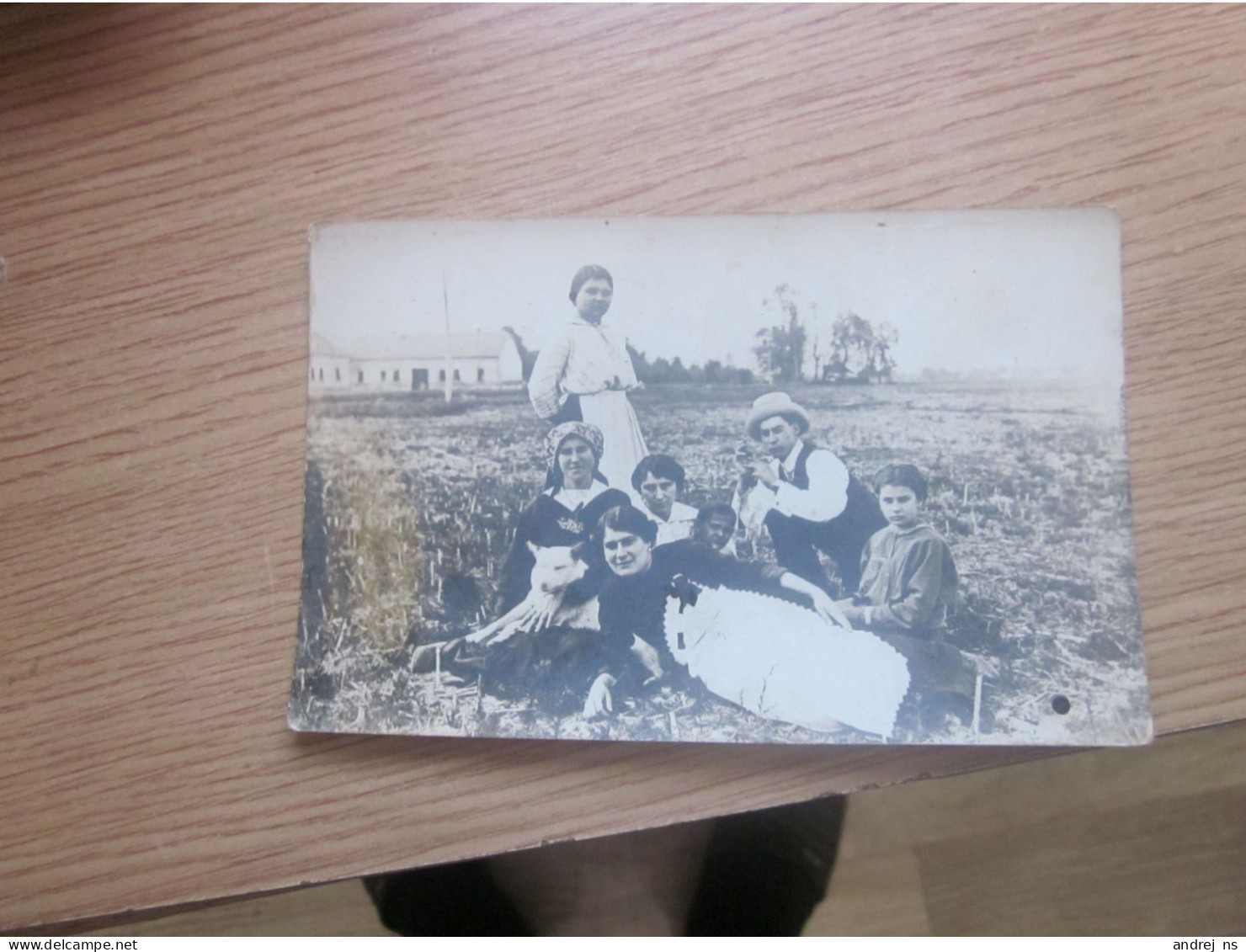 Szabadka Subotica Family In Field Old Photo Postcards - Serbia